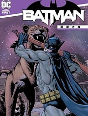 蝙蝠侠：哥谭之夜