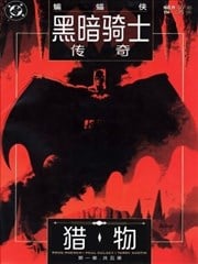 蝙蝠侠：黑暗骑士传奇